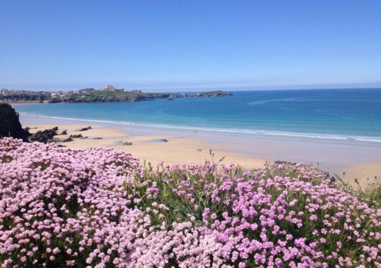 Atlantic Reach Cottages, Newquay 6 Miles, 2 Bedrooms Bagian luar foto